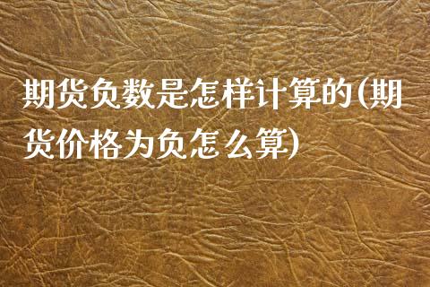 期货负数是怎样计算的(期货价格为负怎么算)_https://www.qianjuhuagong.com_期货开户_第1张