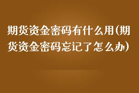 期货资金密码有什么用(期货资金密码忘记了怎么办)_https://www.qianjuhuagong.com_期货平台_第1张