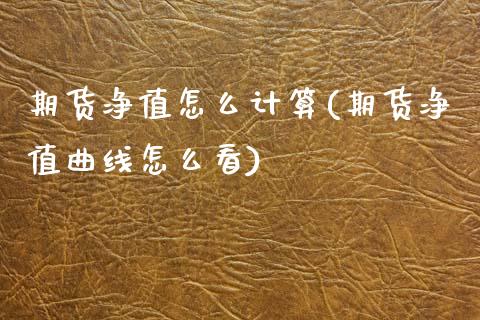 期货净值怎么计算(期货净值曲线怎么看)_https://www.qianjuhuagong.com_期货开户_第1张