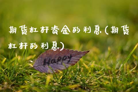 期货杠杆资金的利息(期货杠杆的利息)_https://www.qianjuhuagong.com_期货行情_第1张