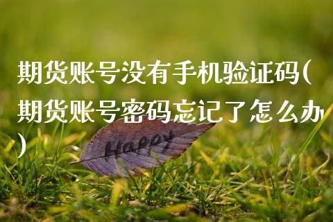 期货账号没有手机验证码(期货账号密码忘记了怎么办)_https://www.qianjuhuagong.com_期货百科_第1张