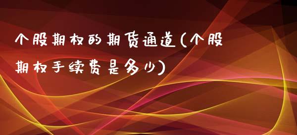 个股期权的期货通道(个股期权手续费是多少)_https://www.qianjuhuagong.com_期货百科_第1张