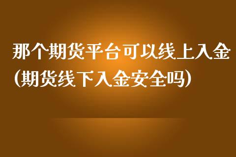 那个期货平台可以线上入金(期货线下入金安全吗)_https://www.qianjuhuagong.com_期货平台_第1张