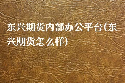 东兴期货内部办公平台(东兴期货怎么样)_https://www.qianjuhuagong.com_期货百科_第1张