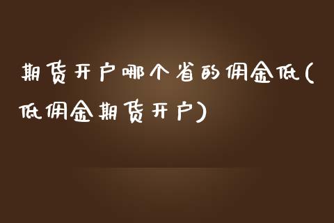 期货开户哪个省的佣金低(低佣金期货开户)_https://www.qianjuhuagong.com_期货开户_第1张