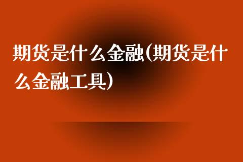 期货是什么金融(期货是什么金融工具)_https://www.qianjuhuagong.com_期货百科_第1张