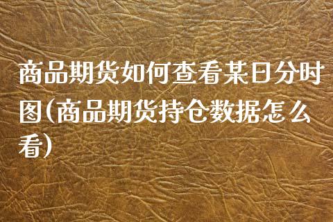 商品期货如何查看某日分时图(商品期货持仓数据怎么看)_https://www.qianjuhuagong.com_期货百科_第1张