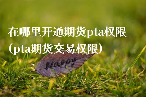 在哪里开通期货pta权限(pta期货交易权限)_https://www.qianjuhuagong.com_期货行情_第1张