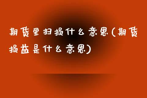 期货里扫损什么意思(期货损益是什么意思)_https://www.qianjuhuagong.com_期货直播_第1张