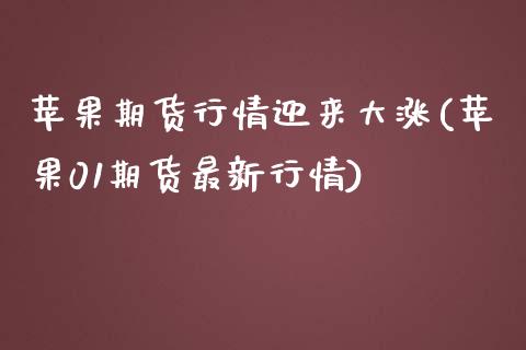 苹果期货行情迎来大涨(苹果01期货最新行情)_https://www.qianjuhuagong.com_期货平台_第1张