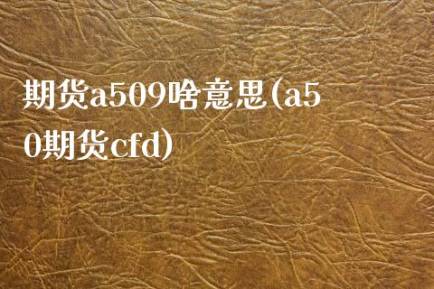 期货a509啥意思(a50期货cfd)_https://www.qianjuhuagong.com_期货开户_第1张