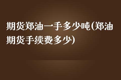 期货郑油一手多少吨(郑油期货手续费多少)_https://www.qianjuhuagong.com_期货平台_第1张