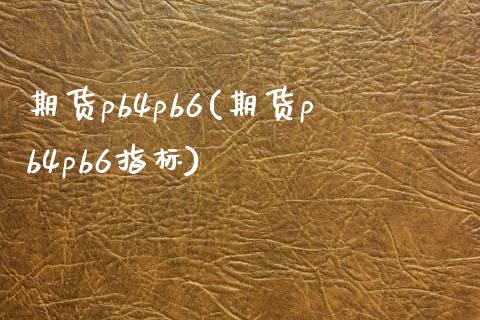 期货pb4pb6(期货pb4pb6指标)_https://www.qianjuhuagong.com_期货开户_第1张