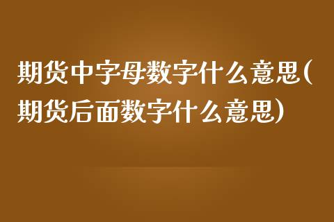 期货中字母数字什么意思(期货后面数字什么意思)_https://www.qianjuhuagong.com_期货直播_第1张