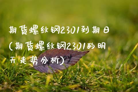 期货螺纹钢2301到期日(期货螺纹钢2301的明天走势分析)_https://www.qianjuhuagong.com_期货百科_第1张