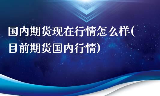 国内期货现在行情怎么样(目前期货国内行情)_https://www.qianjuhuagong.com_期货百科_第1张