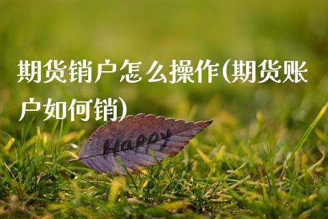 期货销户怎么操作(期货账户如何销)_https://www.qianjuhuagong.com_期货开户_第1张