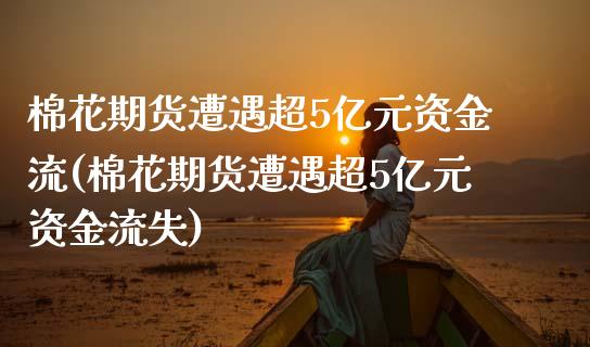 棉花期货遭遇超5亿元资金流(棉花期货遭遇超5亿元资金流失)_https://www.qianjuhuagong.com_期货开户_第1张