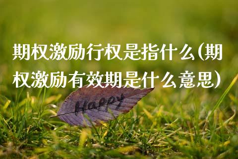 期权激励行权是指什么(期权激励有效期是什么意思)_https://www.qianjuhuagong.com_期货行情_第1张