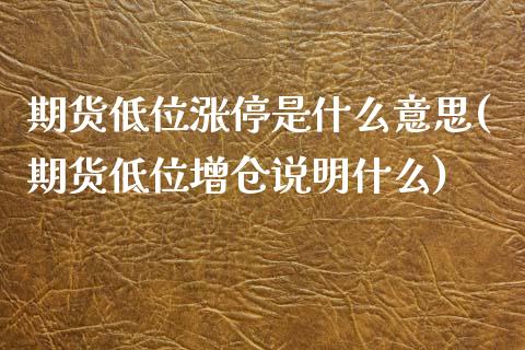 期货低位涨停是什么意思(期货低位增仓说明什么)_https://www.qianjuhuagong.com_期货直播_第1张