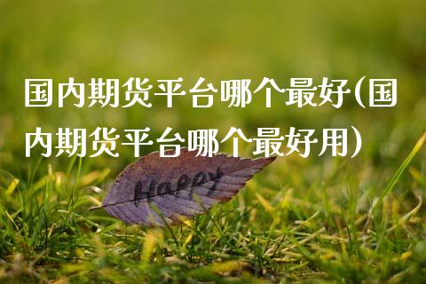 国内期货平台哪个最好(国内期货平台哪个最好用)_https://www.qianjuhuagong.com_期货平台_第1张