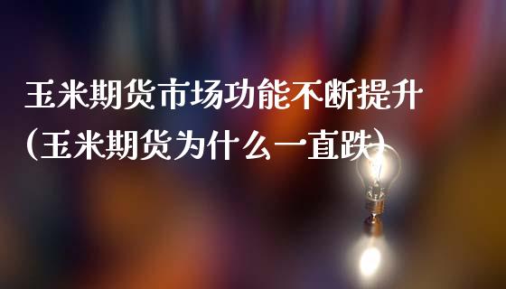 玉米期货市场功能不断提升(玉米期货为什么一直跌)_https://www.qianjuhuagong.com_期货百科_第1张