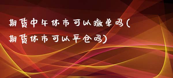 期货中午休市可以撤单吗(期货休市可以平仓吗)_https://www.qianjuhuagong.com_期货开户_第1张