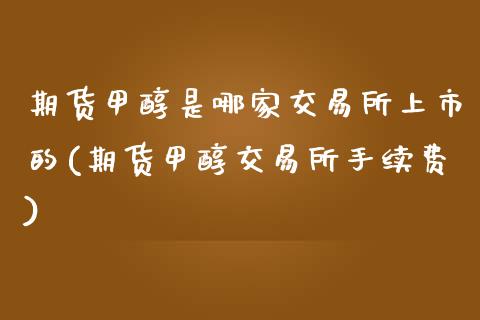 期货甲醇是哪家交易所上市的(期货甲醇交易所手续费)_https://www.qianjuhuagong.com_期货平台_第1张