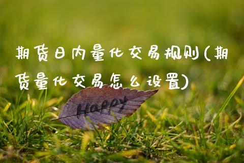 期货日内量化交易规则(期货量化交易怎么设置)_https://www.qianjuhuagong.com_期货平台_第1张