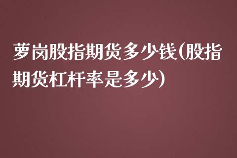 萝岗股指期货多少钱(股指期货杠杆率是多少)_https://www.qianjuhuagong.com_期货平台_第1张