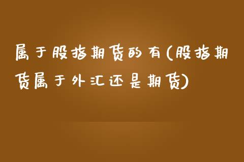 属于股指期货的有(股指期货属于外汇还是期货)_https://www.qianjuhuagong.com_期货开户_第1张