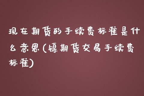 现在期货的手续费标准是什么意思(镍期货交易手续费标准)_https://www.qianjuhuagong.com_期货直播_第1张