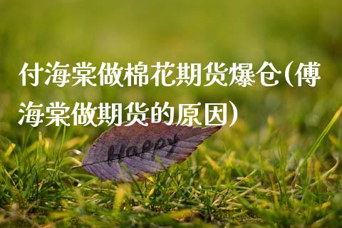 付海棠做棉花期货爆仓(傅海棠做期货的原因)_https://www.qianjuhuagong.com_期货开户_第1张