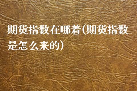 期货指数在哪着(期货指数是怎么来的)_https://www.qianjuhuagong.com_期货百科_第1张