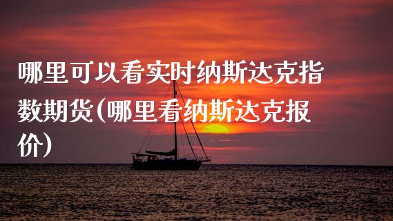 哪里可以看实时纳斯达克指数期货(哪里看纳斯达克报价)_https://www.qianjuhuagong.com_期货开户_第1张