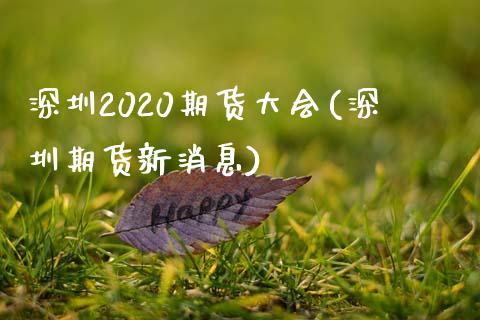 深圳2020期货大会(深圳期货新消息)_https://www.qianjuhuagong.com_期货百科_第1张