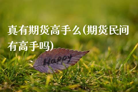 真有期货高手么(期货民间有高手吗)_https://www.qianjuhuagong.com_期货平台_第1张