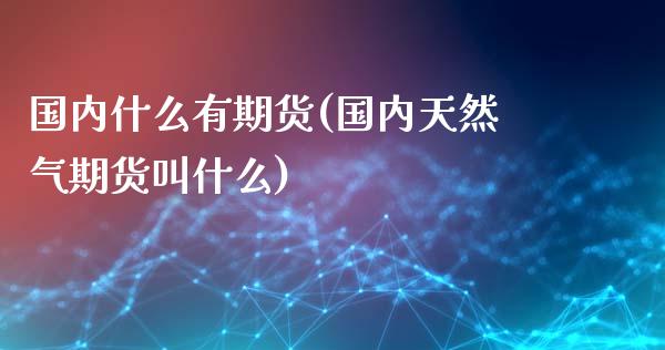 国内什么有期货(国内天然气期货叫什么)_https://www.qianjuhuagong.com_期货百科_第1张