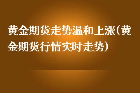 黄金期货走势温和上涨(黄金期货行情实时走势)_https://www.qianjuhuagong.com_期货直播_第1张