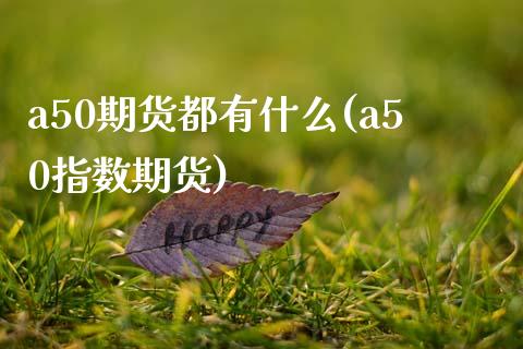 a50期货都有什么(a50指数期货)_https://www.qianjuhuagong.com_期货开户_第1张