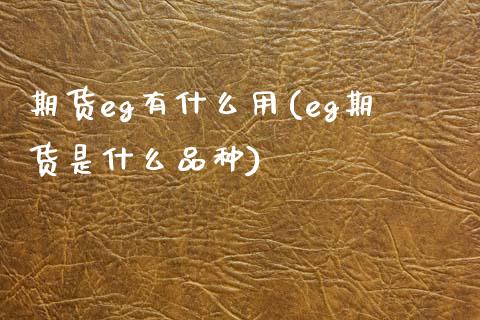 期货eg有什么用(eg期货是什么品种)_https://www.qianjuhuagong.com_期货行情_第1张