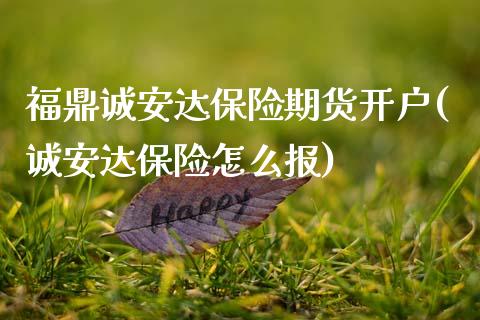 福鼎诚安达保险期货开户(诚安达保险怎么报)_https://www.qianjuhuagong.com_期货直播_第1张