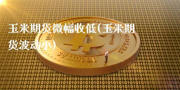 玉米期货微幅收低(玉米期货波动小)_https://www.qianjuhuagong.com_期货直播_第1张