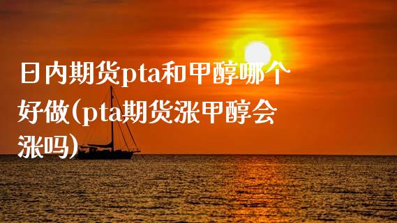 日内期货pta和甲醇哪个好做(pta期货涨甲醇会涨吗)_https://www.qianjuhuagong.com_期货直播_第1张