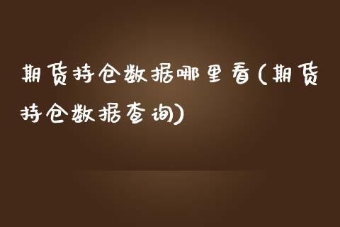 期货持仓数据哪里看(期货持仓数据查询)_https://www.qianjuhuagong.com_期货开户_第1张