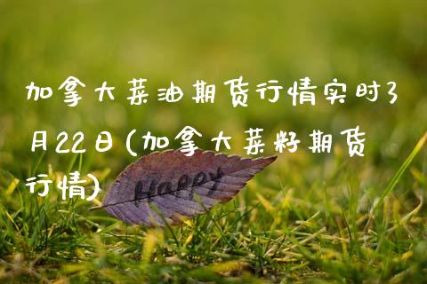 加拿大菜油期货行情实时3月22日(加拿大菜籽期货行情)_https://www.qianjuhuagong.com_期货直播_第1张