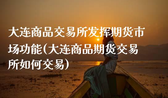 大连商品交易所发挥期货市场功能(大连商品期货交易所如何交易)_https://www.qianjuhuagong.com_期货平台_第1张