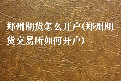 郑州期货怎么开户(郑州期货交易所如何开户)_https://www.qianjuhuagong.com_期货行情_第1张