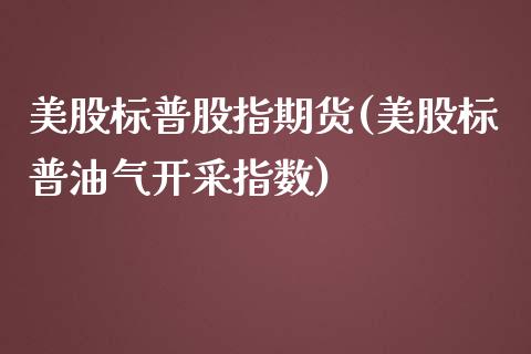 美股标普股指期货(美股标普油气开采指数)_https://www.qianjuhuagong.com_期货直播_第1张