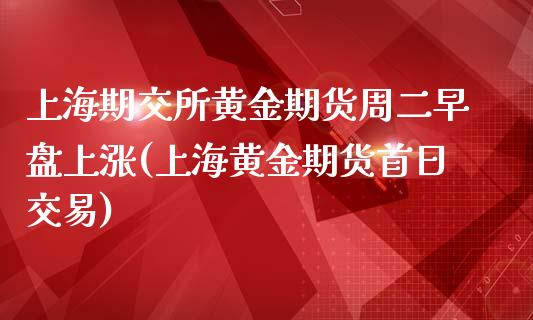 上海期交所黄金期货周二早盘上涨(上海黄金期货首日交易)_https://www.qianjuhuagong.com_期货直播_第1张